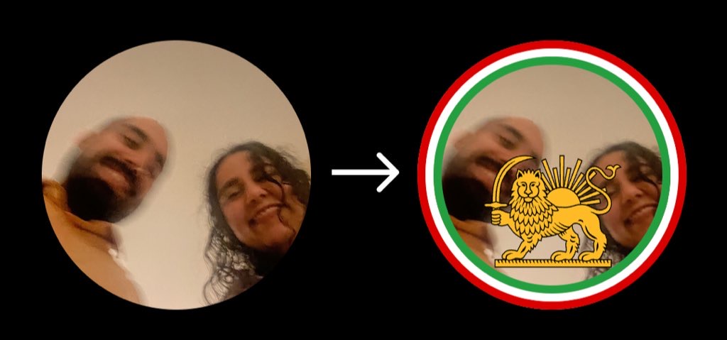 Before and after example: profile picture with Lion & Sun overlay